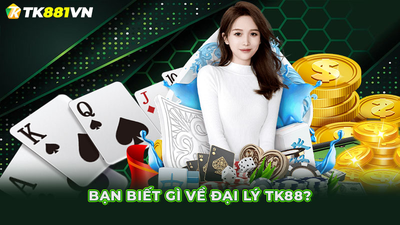 Bạn biết gì về đại lý TK88?